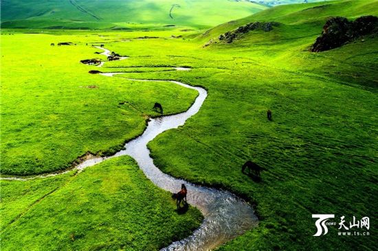 鸟瞰六月的新疆塔城塔尔巴哈台山草原湿地壮观景色（图）