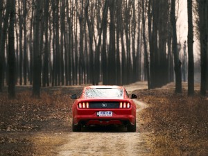 () Mustang 2015 2.3T 50