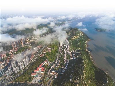 连云港:校准发展路径 打造新型临港产业基地