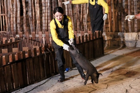 赵丽颖抓猪 《七十二层奇楼》被吴亦凡忽悠怒