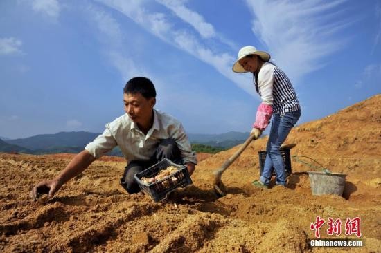 农业部详解土地制度改革:与联产承包有四方面