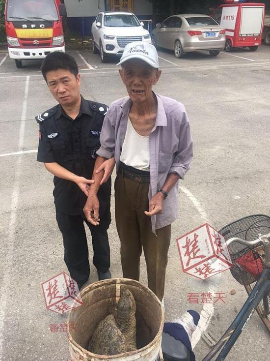 八旬老汉菜地里捡到大龟 动物专家却不建议放