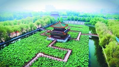 “2017香河荷花节”启动 预计引60万游客参观游览