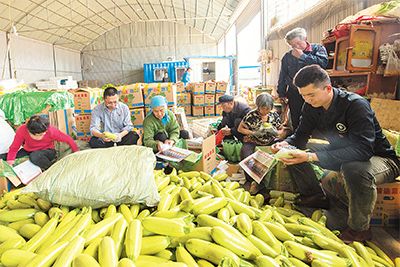 山东淄博临淄区党性教育体检让党员强肌健体