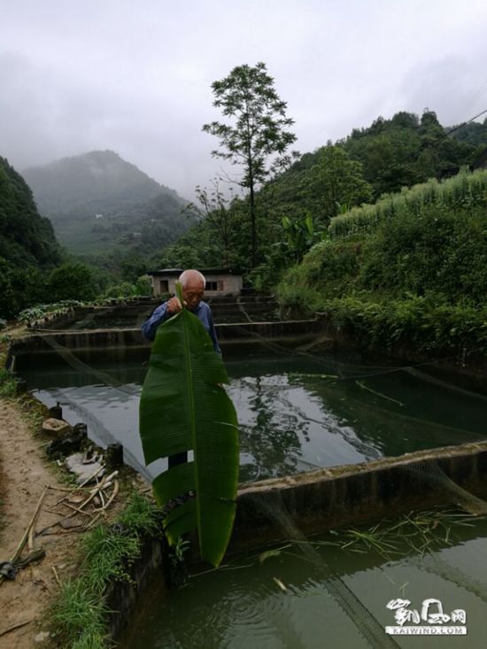 从痴迷邪教实际神到养鱼大户--人民网海南频道