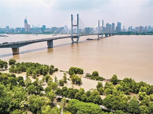 湖北启动防汛Ⅱ级应急响应 长江大部分站点超