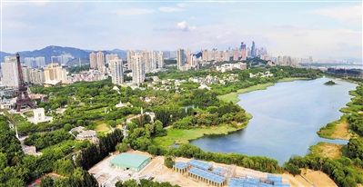 深圳全力以赴创建全国文明城市