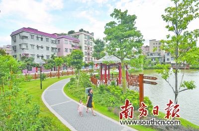 佛山5年城市管理考评 市民打84.1分