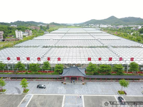 网记走进五彩田园 看现代特色农业的广西榜样