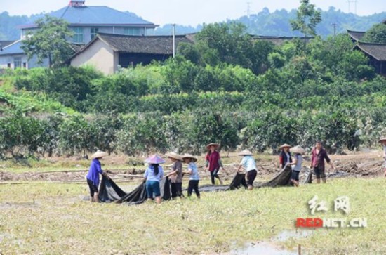 灾后重建：被风雨洗刷后的湖南 又见彩虹