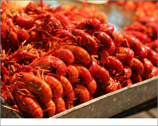 江一吃货为口腹之欲深夜行窃 偷80斤小龙虾全