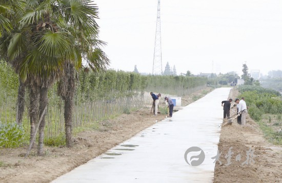 盐城大丰大中镇修建农路 提升乡村交通环境