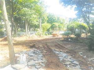 敬请期待!海口滨海新村公园即将华丽变身