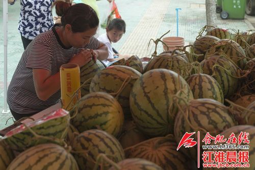 母亲带着11岁脑瘫儿子摆摊 只盼每天能多卖一