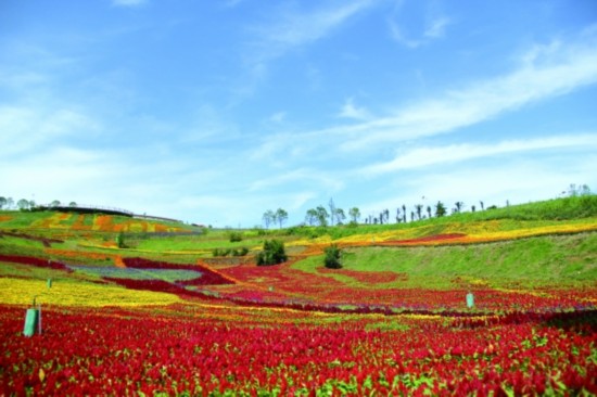 花画小镇景如画