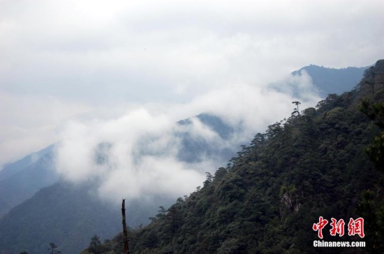 江西铅山武夷山列入世界文化与自然遗产地