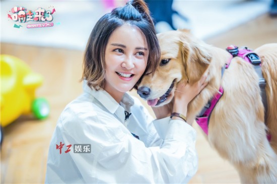 《萌主来了》“小藏獒”张继科培训搜救犬获赞