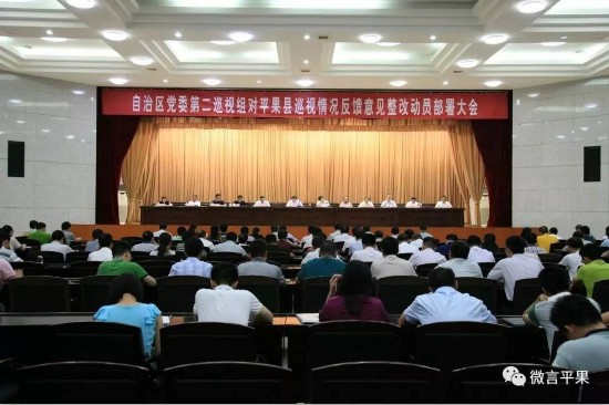 平果县召开落实自治区党委第二巡视组巡视反馈