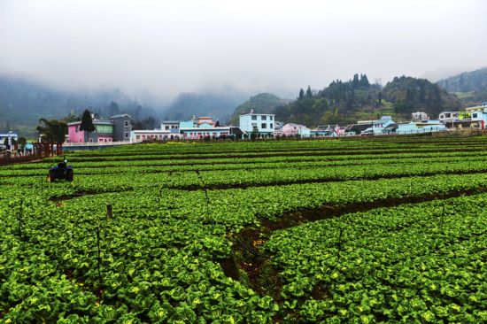 砥砺奋进 改革创新 再度起航