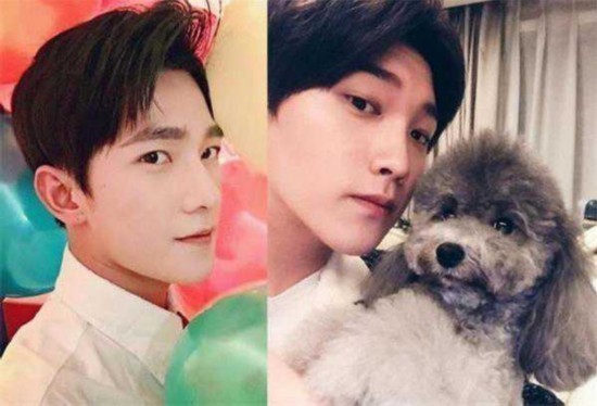 双世宠妃墨连城深情告白 和邢昭林杨洋什么关