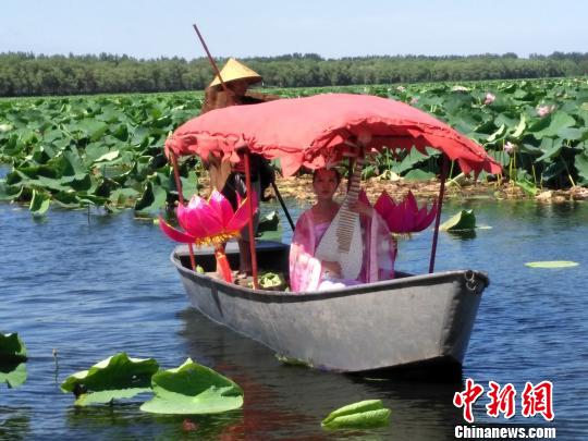 沈阳第十六届新民荷花节启幕 首次推出荷花盛宴