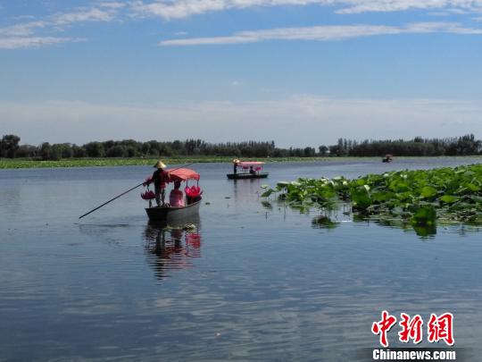 沈阳第十六届新民荷花节启幕 首次推出荷花盛宴