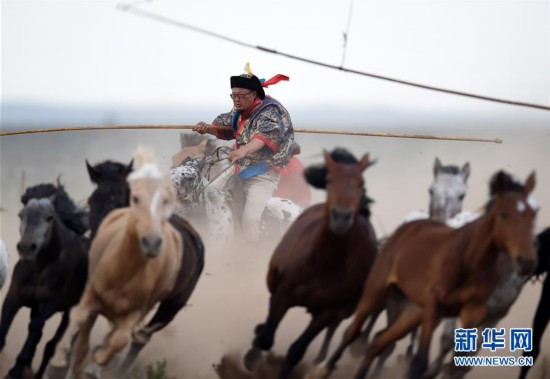 蒙古马逐渐回归中国蒙古族牧民生活