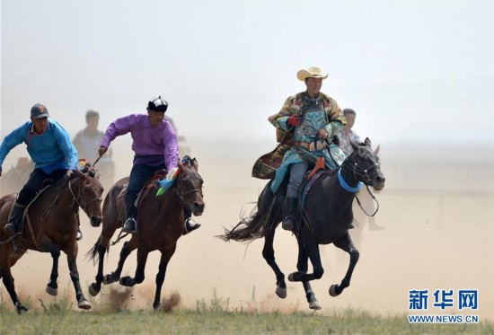 蒙古马逐渐回归中国蒙古族牧民生活