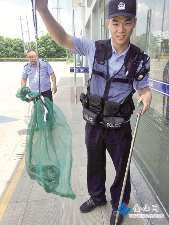 镇江丹阳:天太热 两米长大蛇服装店更衣室避暑