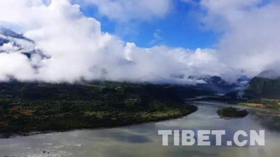 诞生在世界最大峡谷的“绝世好松茸”