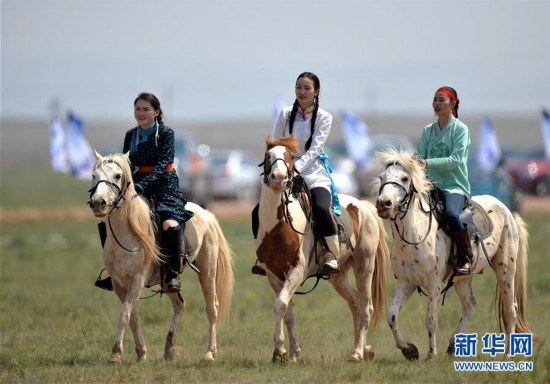 蒙古马逐渐回归中国蒙古族牧民生活