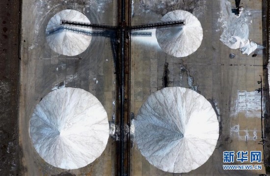 河北唐山:春盐丰收货满仓