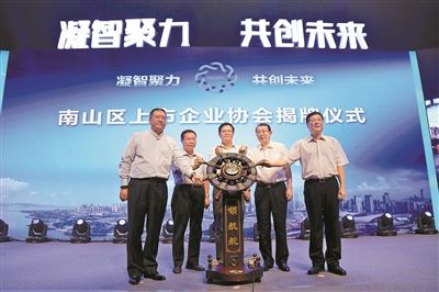 深圳南山区上市企业协会共植生态森林