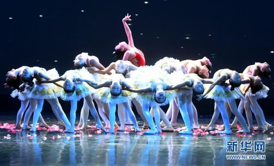 全国琦琦芭蕾少儿舞蹈比赛(广西赛区)在南宁拉