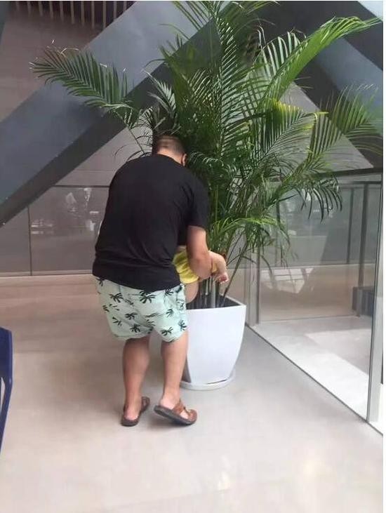 成都博物馆内一大爷抱着孙子往盆栽撒尿网友无奈