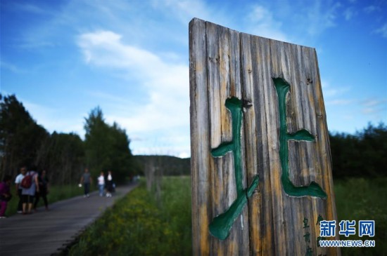 夏日到北极村来找北--旅游频道_权威全面报道