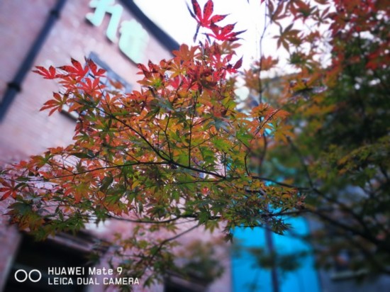 華為Mate 9評測（勿發） 