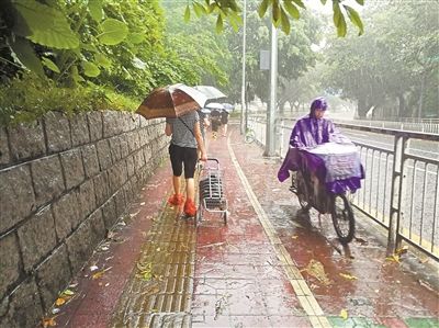 8月上半月深圳天气高温炎热 局地强降雨
