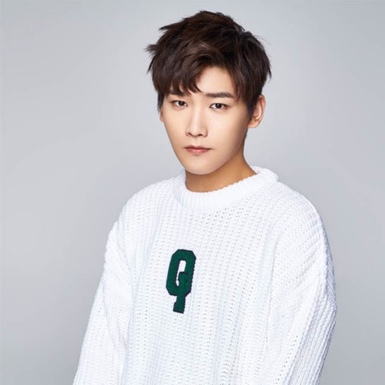 任嘉伦邢昭林领衔2017年人气暴涨的8位男星