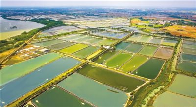 廉江乡镇人口_唯一一个中国最大的衬衣生产基地 广东GDP最高四大县级市(3)