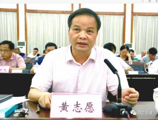 平果县召开城市总体规划评议会