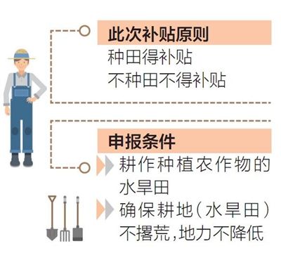 海南将发放2017年耕地地力保护补贴--人民网海