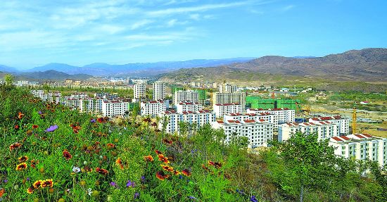 新疆阿勒泰:石头缝里的绿色奇迹