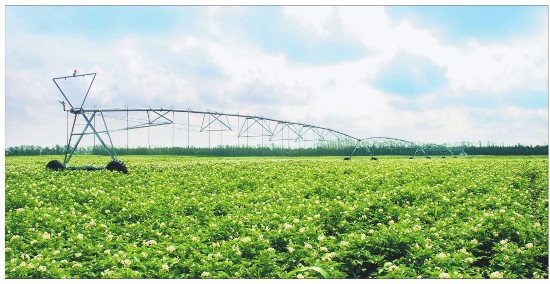 齐齐哈尔构建现代农业 三大体系 农业农村经济