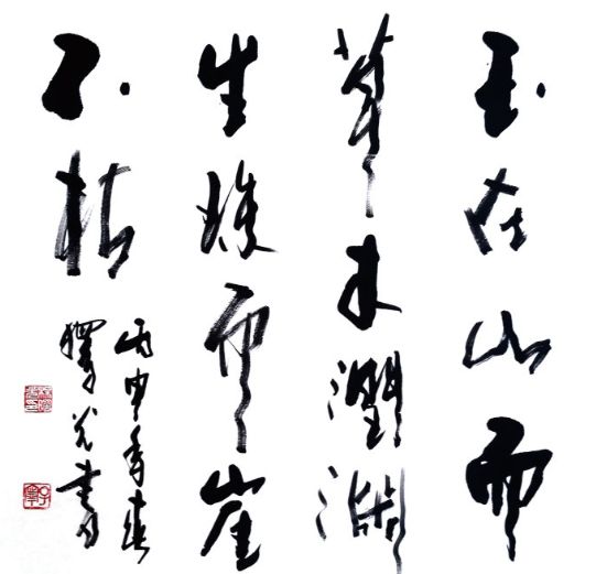 《乔维谈艺术》之走进杨曙光先生的书法空间