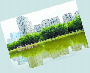 公证执业五不准已发布 禅城南海已落地执行