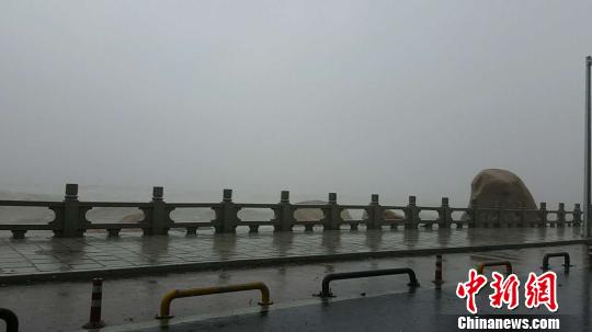 台风天鸽逼近:狂风暴雨 珠海停工停课停市停业