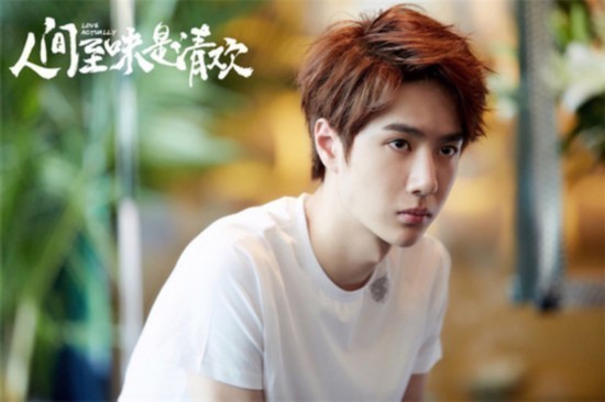 人间至味是清欢小说翟至味结局 王一博资料介