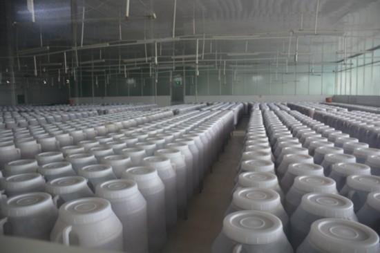 崇左:四叔辣椒酱 好热辣的扶贫产业(图)