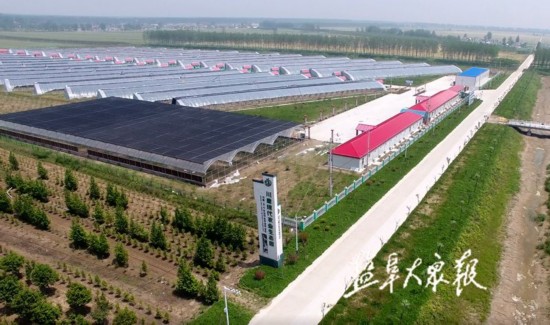 盐城农业结构调整:把土地做成绿水青山和金山